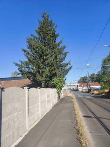 Eladó családi ház, Miskolcon 17.9 M Ft, 2 szobás