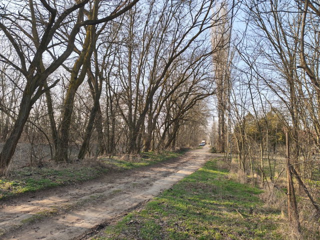 Eladó telek, Budapesten, XVI. kerületben 11.9 M Ft