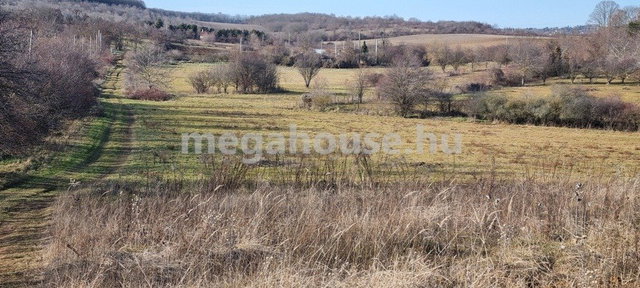 Eladó mezogazdasagi ingatlan, Törökbálinton 14.9 M Ft