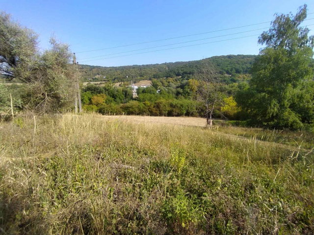 Eladó mezogazdasagi ingatlan, Verőcén 13.5 M Ft