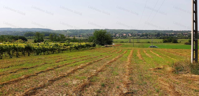 Eladó mezogazdasagi ingatlan, Kőröshegyen 3.9 M Ft