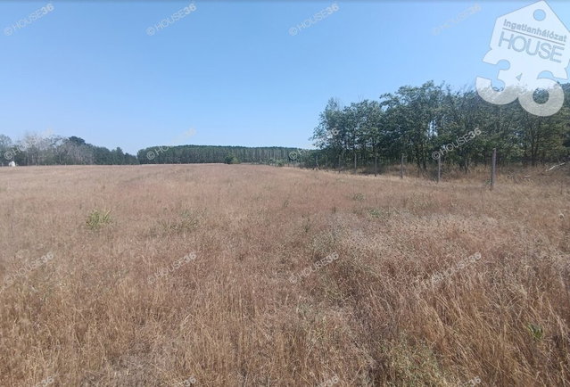 Eladó telek, Tiszaalpáron 5.9 M Ft / költözzbe.hu