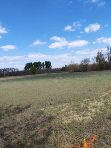 Eladó mezogazdasagi ingatlan, Csemőn 3.2 M Ft