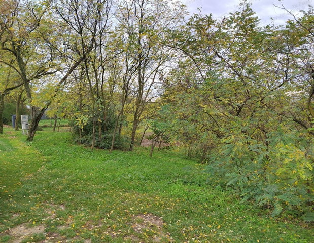 Eladó mezogazdasagi ingatlan, Győrött, Tenkes utcában 14.9 M Ft