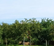 Eladó telek, Balatonföldváron 39 M Ft / költözzbe.hu