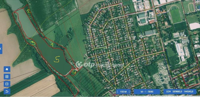 Eladó mezogazdasagi ingatlan, Tamásiban 200 M Ft