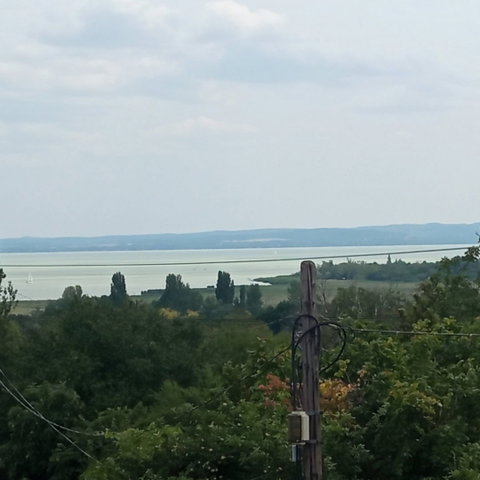 Eladó családi ház, Csopakon 494.77 M Ft, 6 szobás