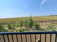 Eladó téglalakás, Mendén 74.9 M Ft, 4 szobás