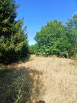 Eladó telek, Bakonytamásin 6.5 M Ft / költözzbe.hu