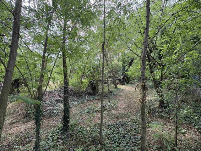 Eladó telek, Balatonedericsen 19.5 M Ft / költözzbe.hu