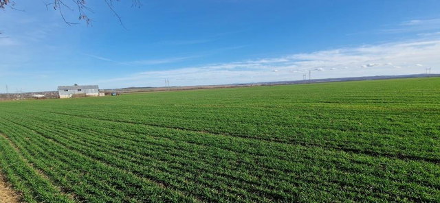Eladó mezogazdasagi ingatlan, Kaposváron, Orci úton 7.9 M Ft