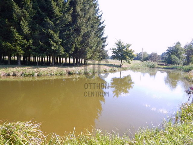Eladó családi ház, Pusztaszentlászlón 150 M Ft, 7 szobás