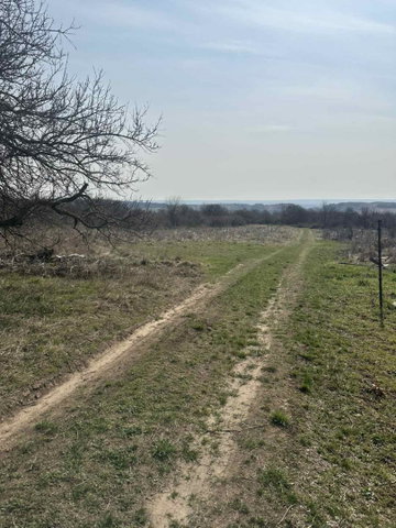 Eladó telek, Várpalotán 3.9 M Ft / költözzbe.hu