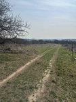 Eladó telek, Várpalotán 3.9 M Ft / költözzbe.hu