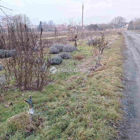 Eladó telek, Körmenden, Lenkei utcában 0.99 M Ft