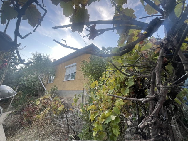 Eladó családi ház, Budapesten, XI. kerületben 175 M Ft, 3 szobás