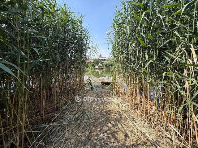 Eladó telek, Gyomaendrődön 29.9 M Ft / költözzbe.hu