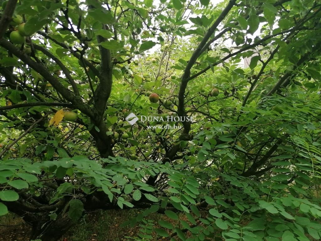 1 bed · 24m² · 7.950.000 ft