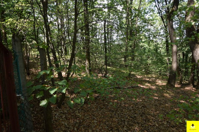 Eladó telek, Kőszegen 29.9 M Ft / költözzbe.hu
