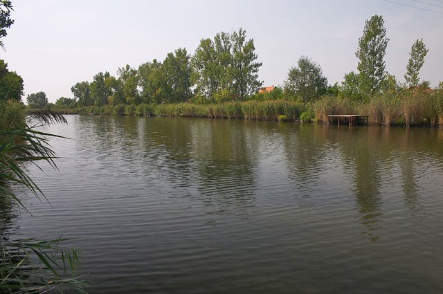 Eladó mezogazdasagi ingatlan, Gyomaendrődön 11 M Ft