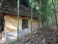 Eladó nyaraló, Homokkomáromon 2.5 M Ft, 4 szobás