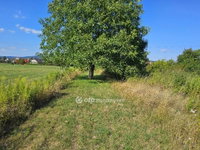Eladó mezogazdasagi ingatlan, Tatabányán 5.5 M Ft