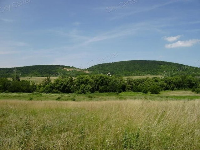 Eladó mezogazdasagi ingatlan, Budakeszin 4 M Ft