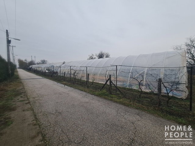 Eladó telek, Hódmezővásárhelyen 35 M Ft / költözzbe.hu