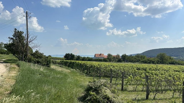 Eladó telek, Szentantalfán 3 M Ft / költözzbe.hu