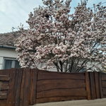 Eladó családi ház, Kalocsán 69.9 M Ft, 2 szobás