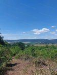 Eladó mezogazdasagi ingatlan, Héregen 3.8 M Ft
