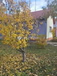 Eladó családi ház, Székesfehérvárott 160 M Ft, 8 szobás