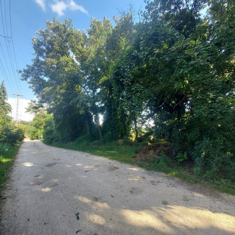 Eladó telek, Érden 79 M Ft / költözzbe.hu