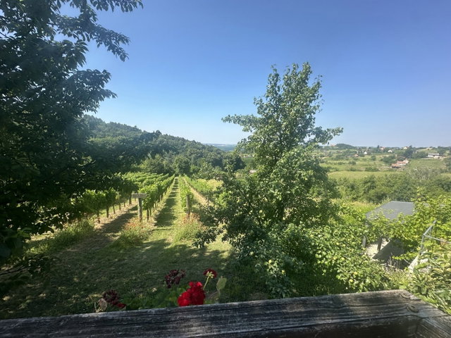 Eladó nyaraló, Rezin 43.5 M Ft, 2 szobás / költözzbe.hu