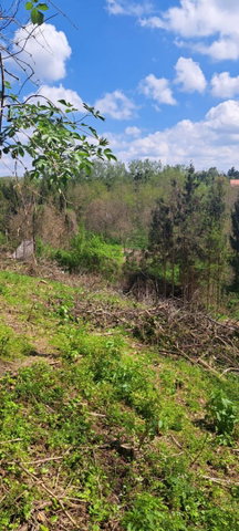 Eladó telek, Zalakaroson 2.5 M Ft / költözzbe.hu