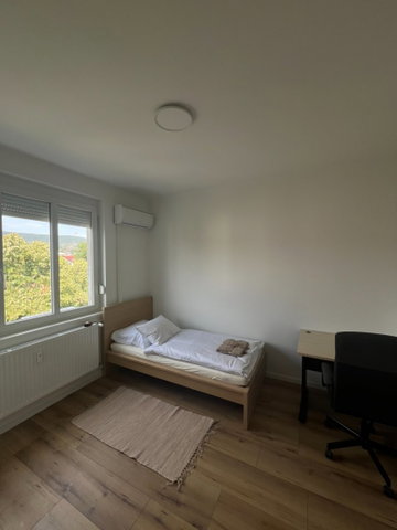 Kiadó téglalakás, albérlet, Pécsett, Esztergár Lajos utcában