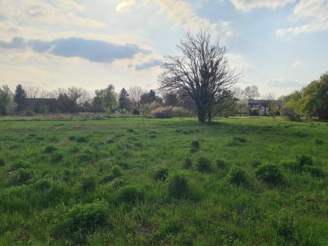 Eladó telek, Győrött 23.5 M Ft / költözzbe.hu