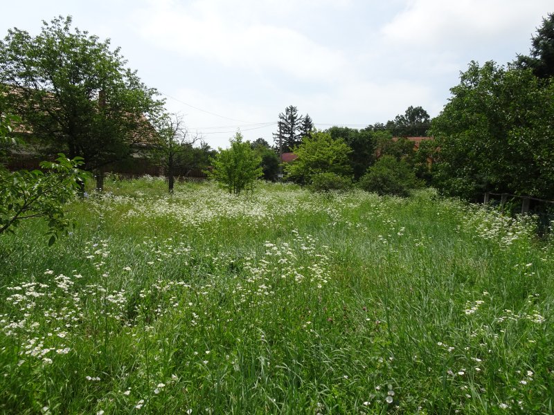 Telek · 2547 m² · 96.500.000 Ft