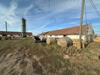 Eladó mezogazdasagi ingatlan, Mezőkomáromban 145 M Ft