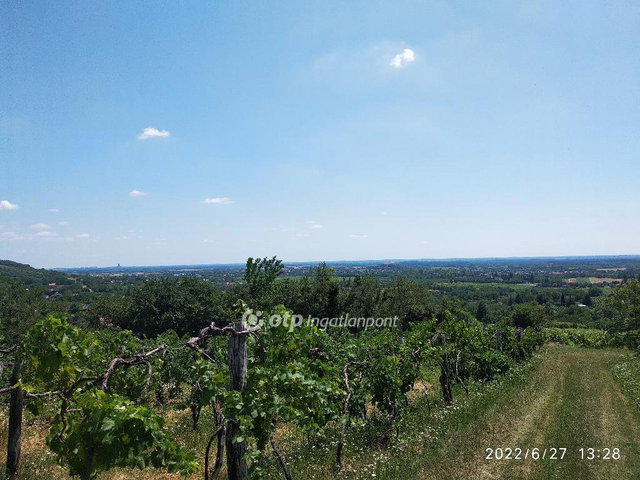 Eladó mezogazdasagi ingatlan, Siklóson 5.5 M Ft