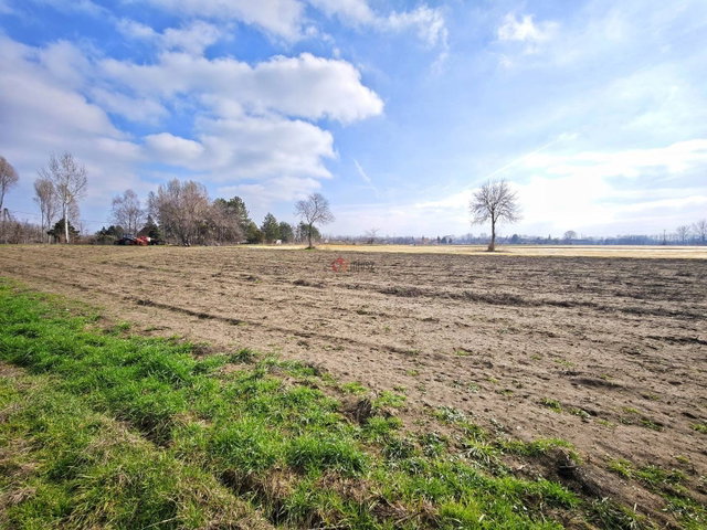 Eladó mezogazdasagi ingatlan, Szatymazon 4.5 M Ft