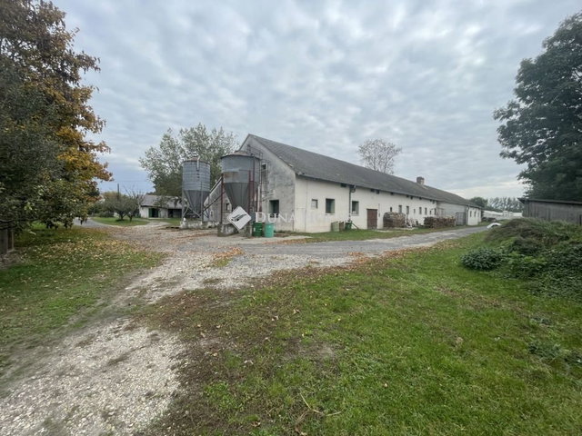 Eladó mezogazdasagi ingatlan, Barbacson 400 M Ft, 7 szobás