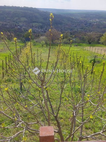 Eladó telek, Tabon 12.5 M Ft, 2 szobás / költözzbe.hu