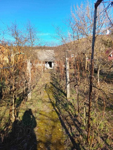 Eladó mezogazdasagi ingatlan, Tatabányán 17.5 M Ft