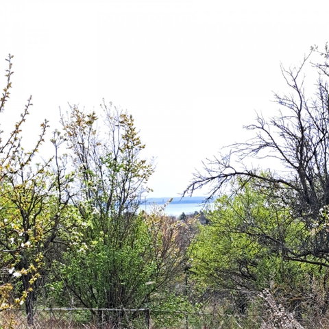 Eladó telek, Balatonkenesén 32 M Ft / költözzbe.hu