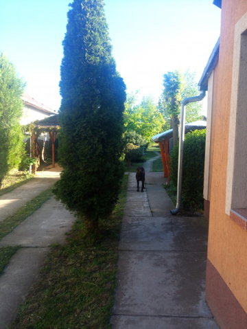 Eladó családi ház, Geszten 18.5 M Ft, 3 szobás