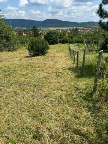 Eladó telek, Pilisvörösváron 79.9 M Ft / költözzbe.hu