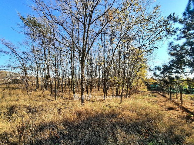 Eladó mezogazdasagi ingatlan, Csemőn 4.5 M Ft