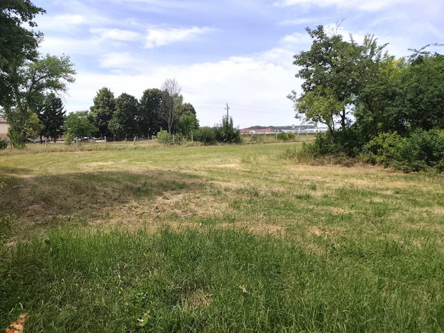 Kiadó telek, Győrött 900 E Ft / hó / költözzbe.hu