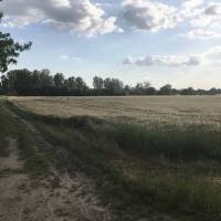 Eladó ipari ingatlan, Monoron 150 M Ft / költözzbe.hu